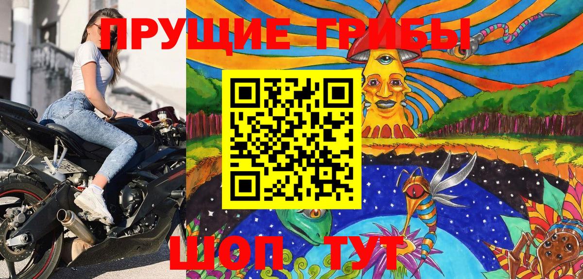 Псилоцибиновые грибы GOLDEN TEACHER Коломна